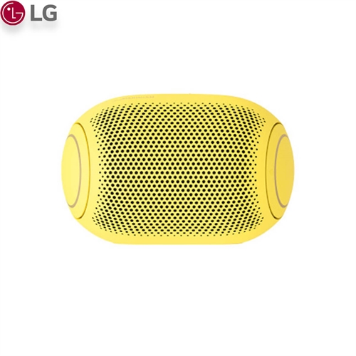Loa LG PL2 36